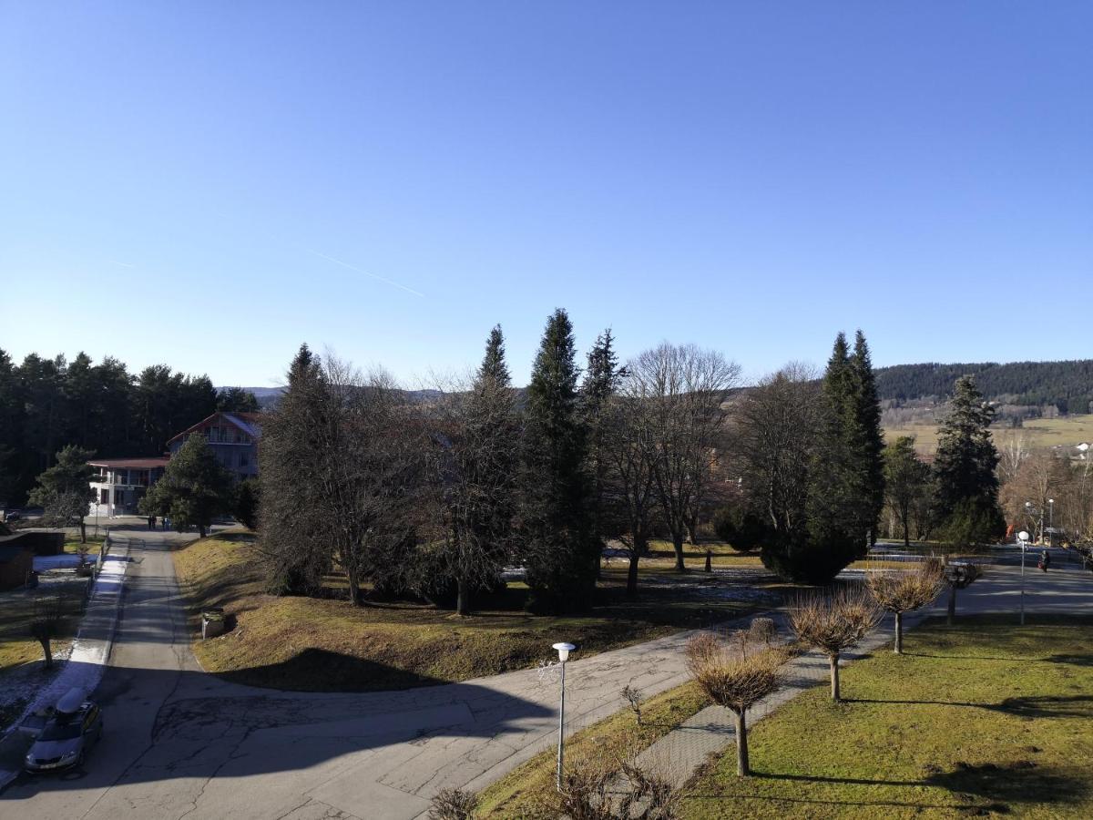 ליפנו נאד וויטאבו Apartment Lipno Sumava Pro 8 Hostu מראה חיצוני תמונה