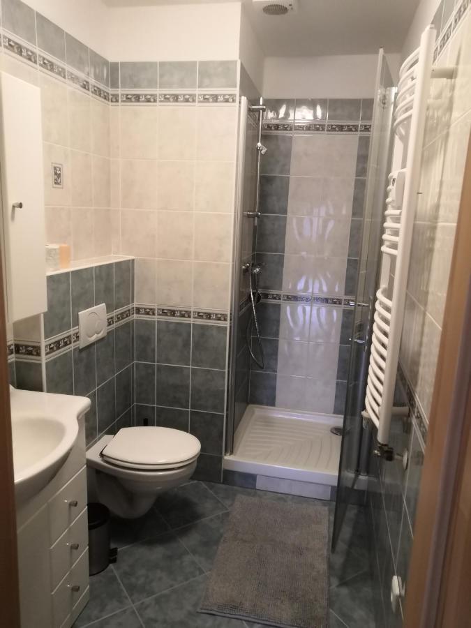 ליפנו נאד וויטאבו Apartment Lipno Sumava Pro 8 Hostu מראה חיצוני תמונה