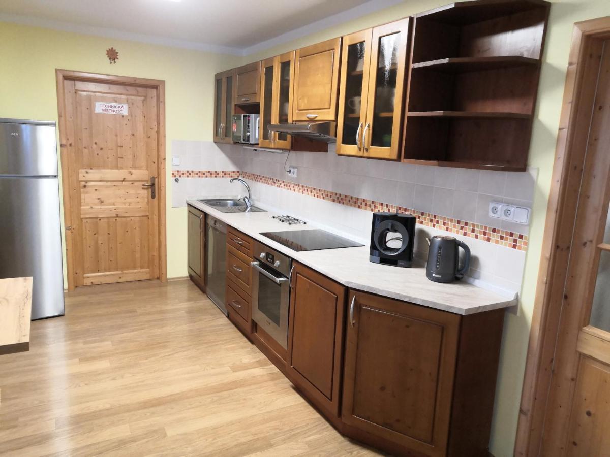 ליפנו נאד וויטאבו Apartment Lipno Sumava Pro 8 Hostu מראה חיצוני תמונה