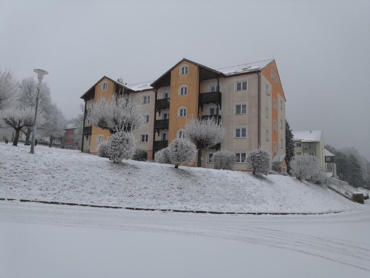 ליפנו נאד וויטאבו Apartment Lipno Sumava Pro 8 Hostu מראה חיצוני תמונה